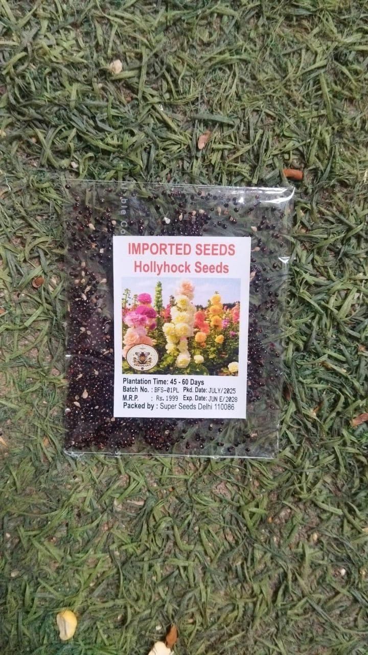 Imported Hollyhock Seeds ra4xqa-dd