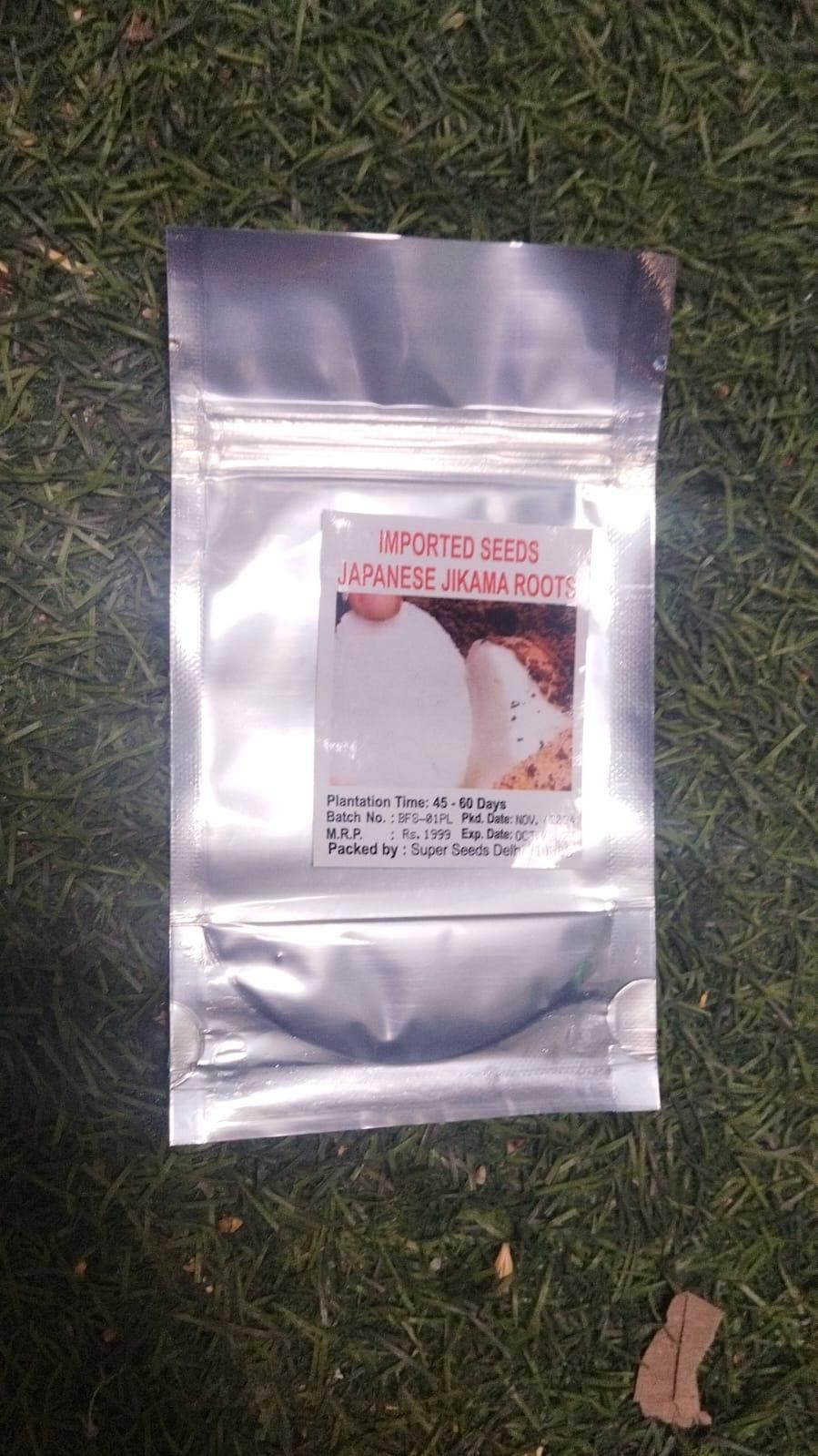 Snowedw Jicama Seeds - KalaKirtiHub