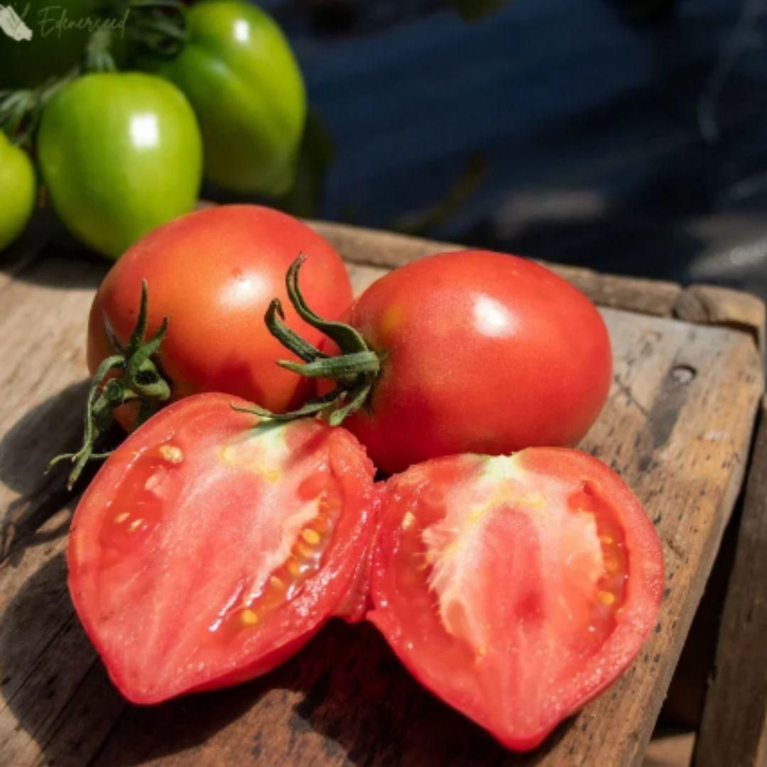 Mango Honey Tomato Seeds - KalaKirtiHub