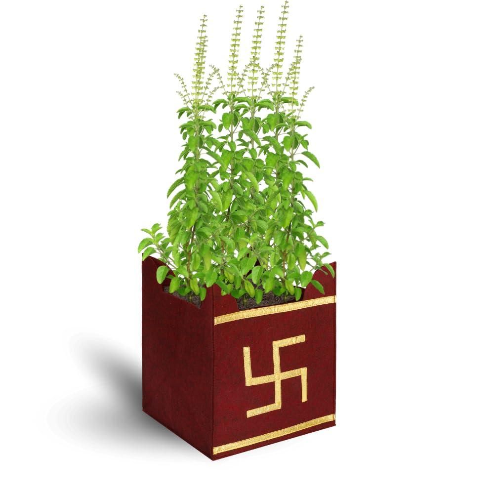 Tulsi Plant Grow Bag for Home/Gardening - KalaKirtiHub
