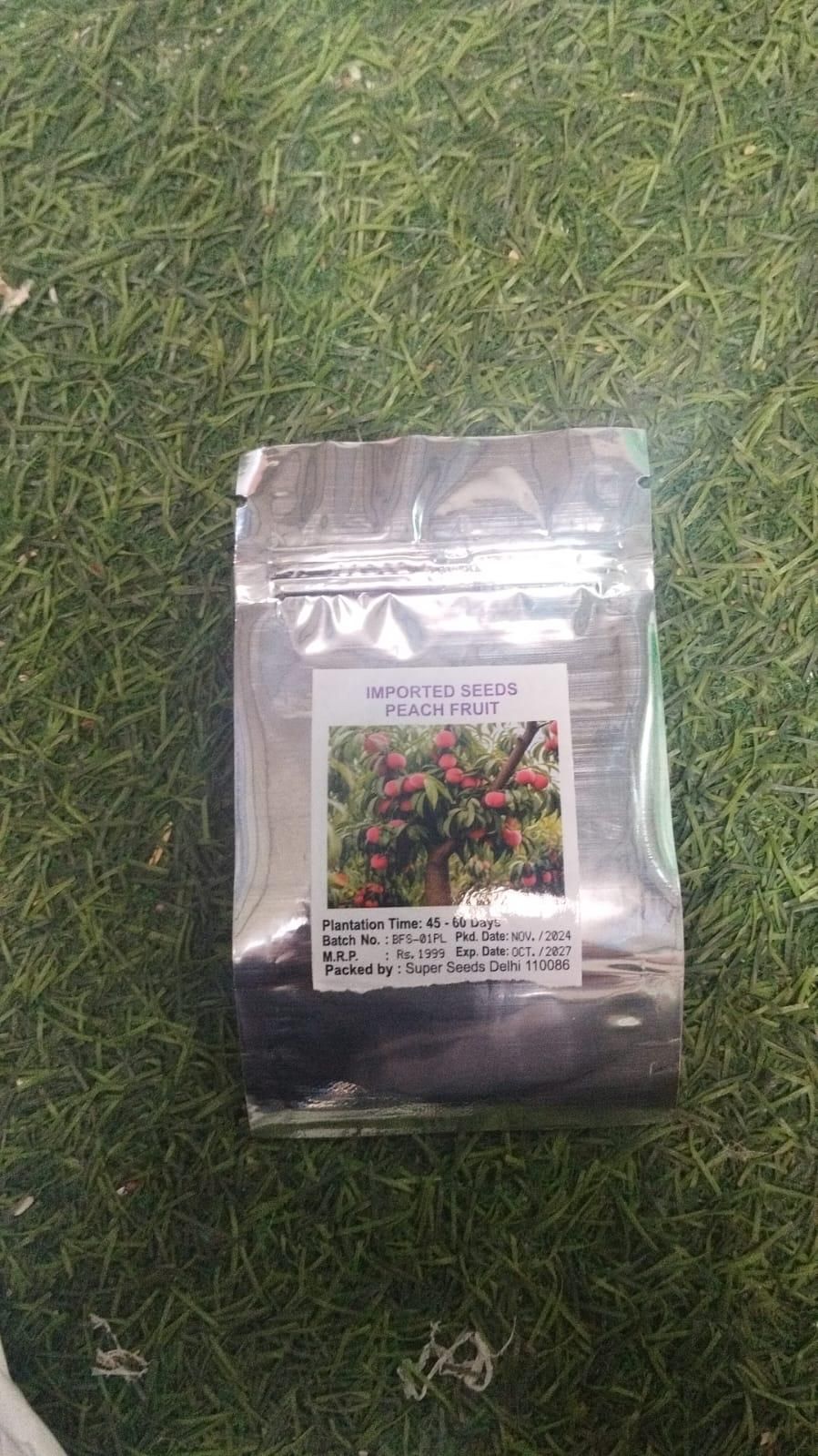 Peach Tree Seeds - KalaKirtiHub