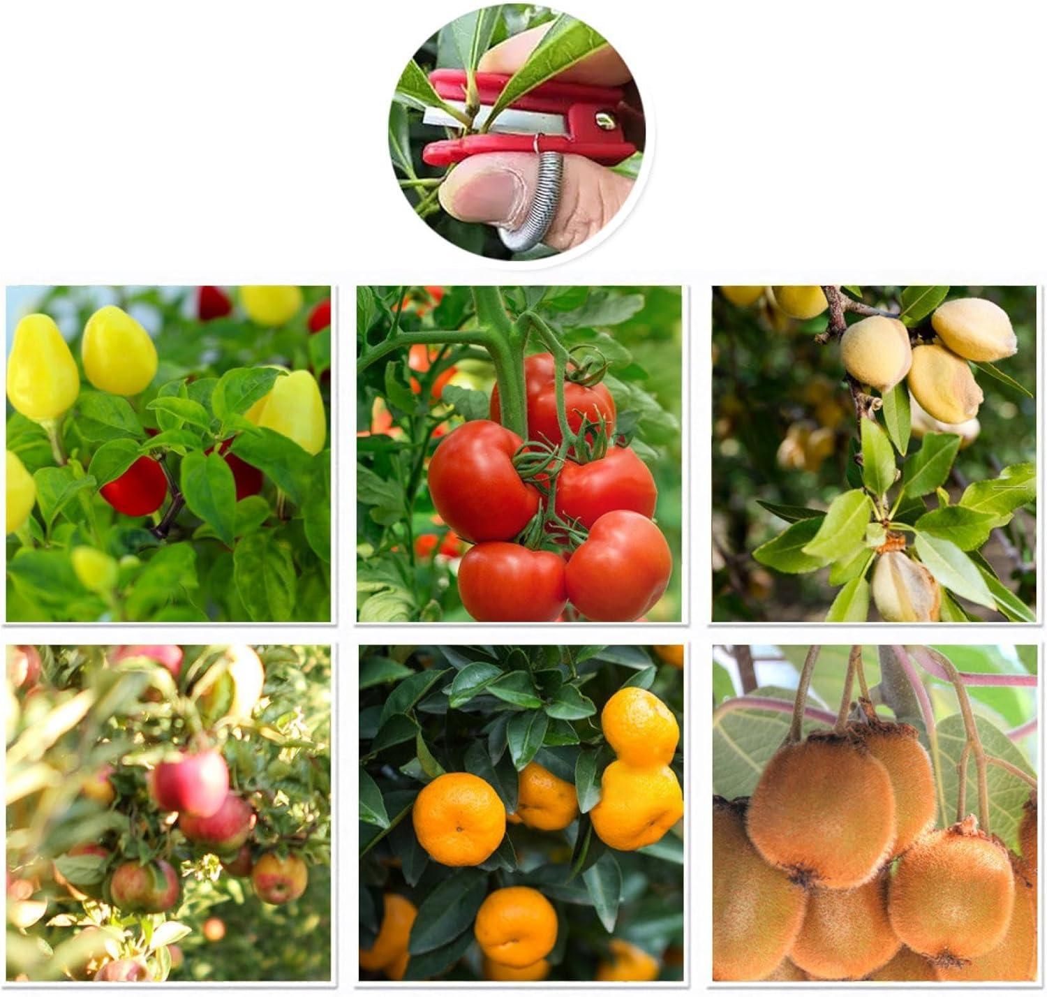 Thumb Cutter Tool Gardening - KalaKirtiHub