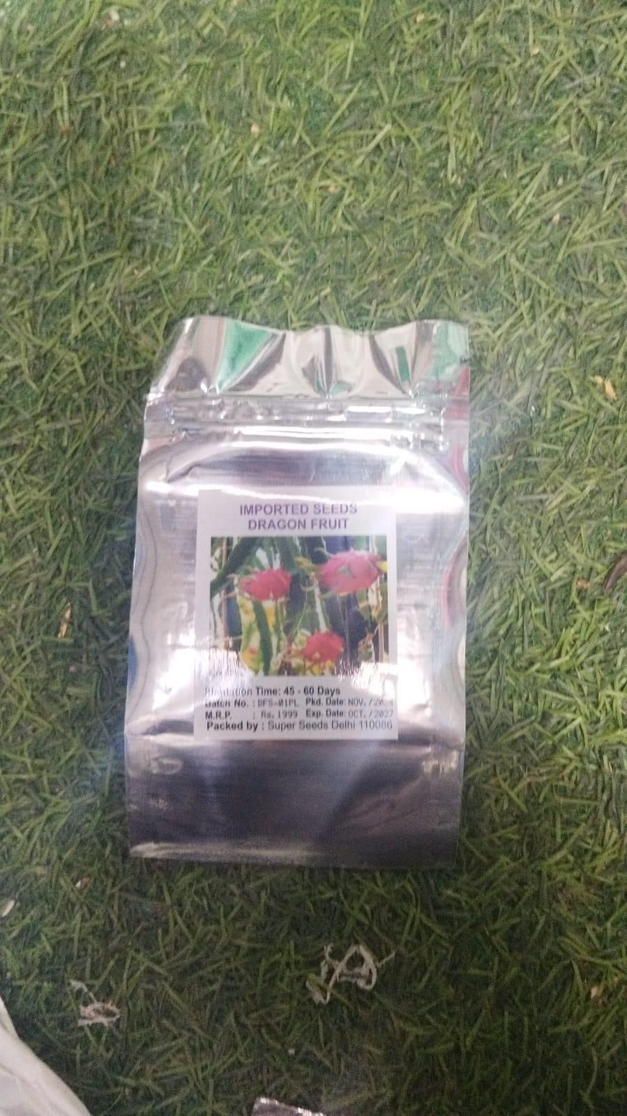 Multi-colored Dragon Fruit Seeds - KalaKirtiHub