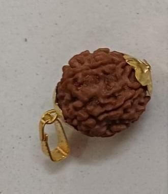 7 Mukhi Nepali Rudraksha | Spiritual Healing Bead from KalaKirtiHub ra4xqa-dd