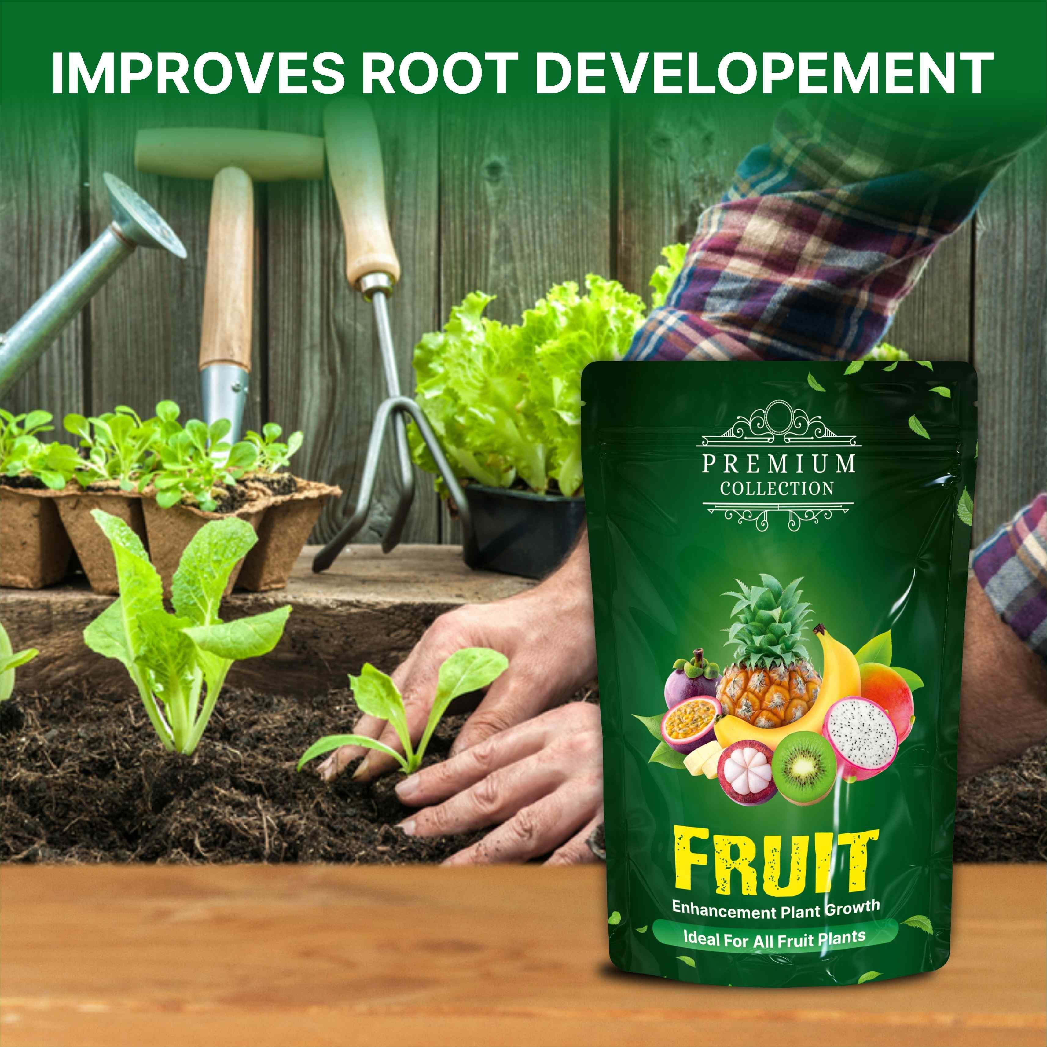 Premium Fruit Enhancement Plant Growth (Pack of 2) - KalaKirtiHub