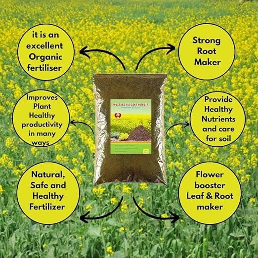 Mustard Oil Cake Powder 400gm - KalaKirtiHub